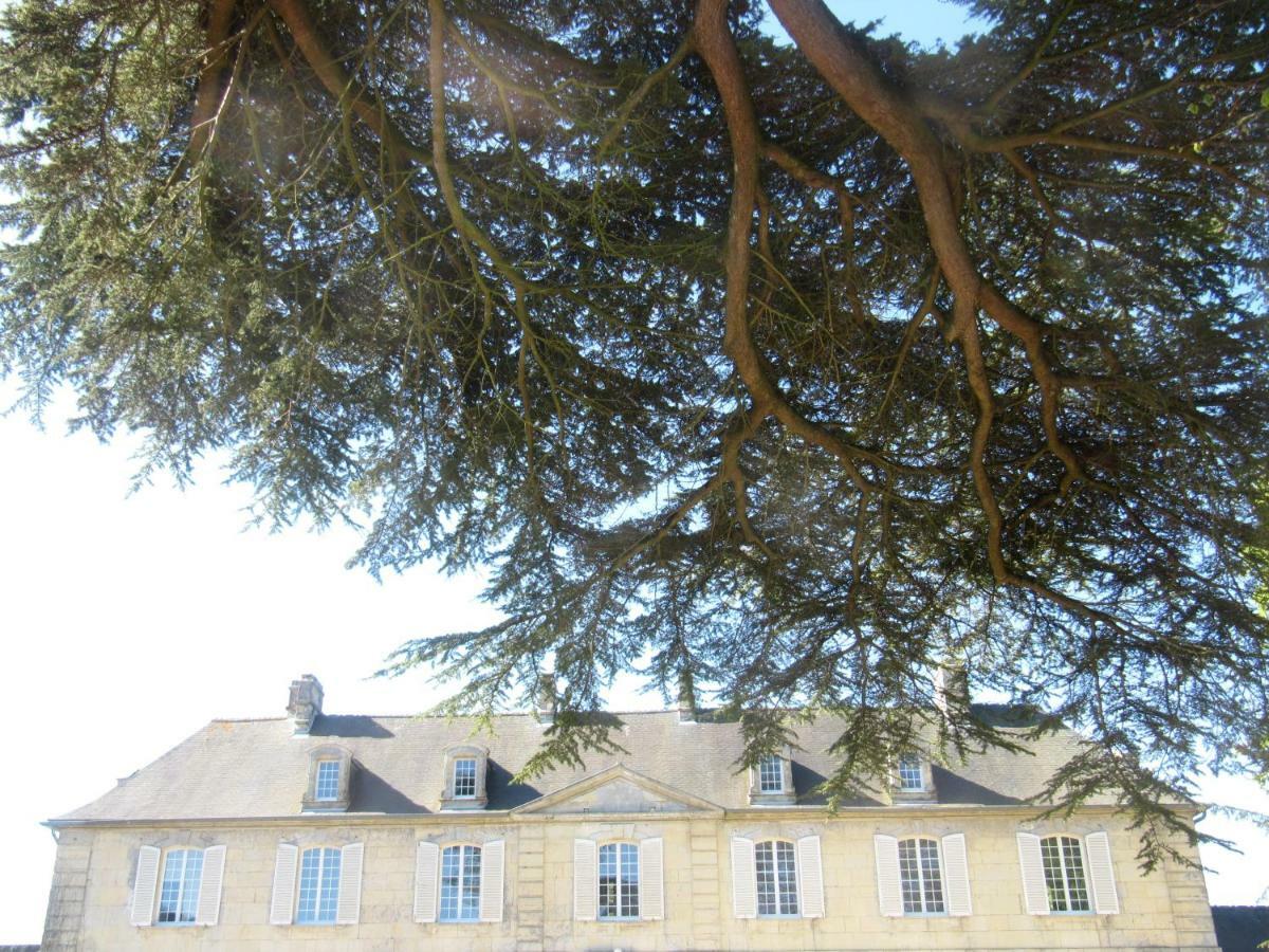 Bed & Breakfast Chateau Les Cedres Bretteville-l'Orgueilleuse エクステリア 写真