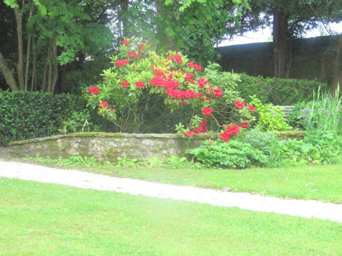 Bed & Breakfast Chateau Les Cedres Bretteville-l'Orgueilleuse エクステリア 写真