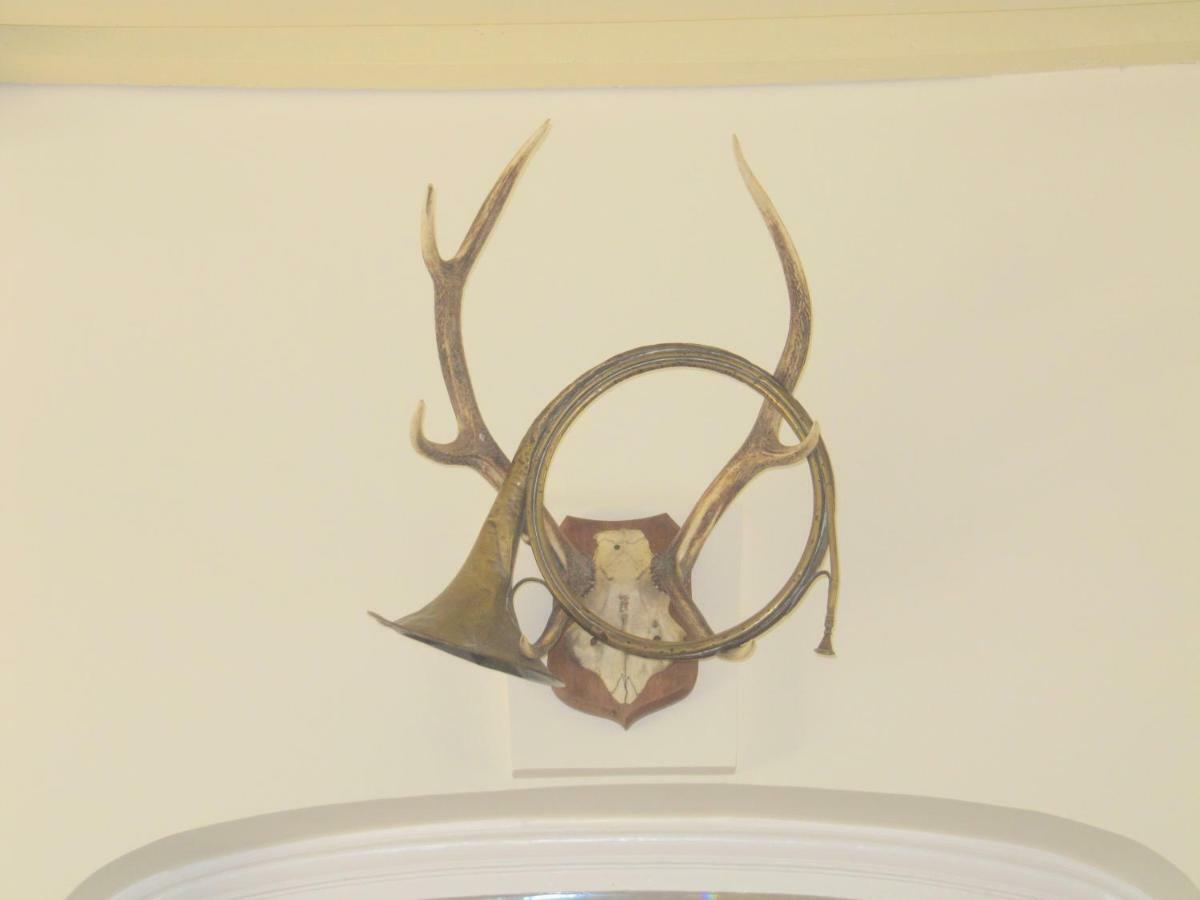 Bed & Breakfast Chateau Les Cedres Bretteville-l'Orgueilleuse エクステリア 写真